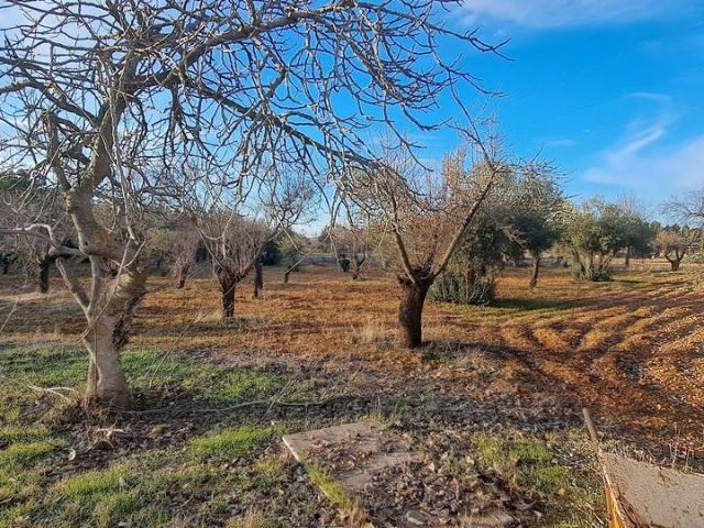 Chalet en venta en Residencial los Encinares, Argamasilla De Calatrava