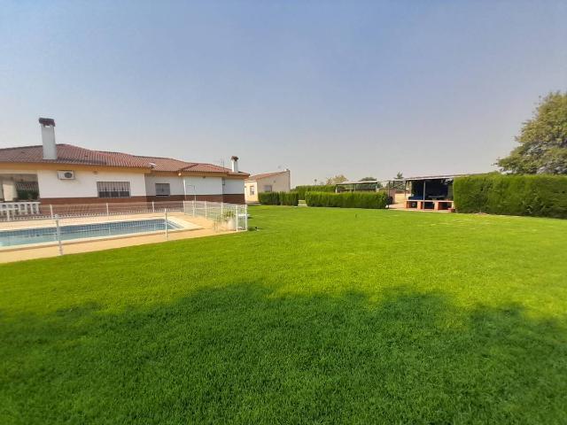 Chalet en venta en Argamasilla De Calatrava, Castilla-La Mancha
