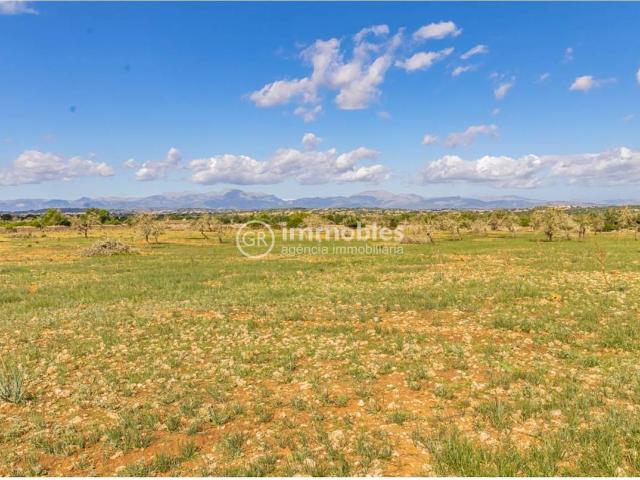 Chalet en venta en Pla de Mallorca, Baleares