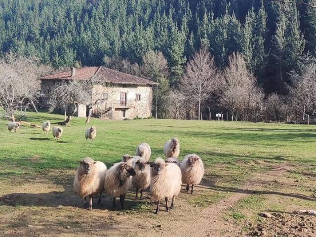 Chalet en venta en Aiara, Guipúzcoa