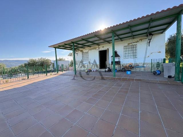 Chalet en venta en Baena, Andalucía