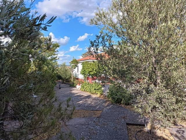 Villa en venta en Barajas De Melo