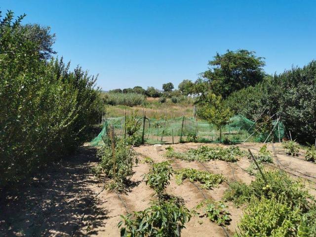 Chalet en venta en Residencial Las Pérgolas, La Janda
