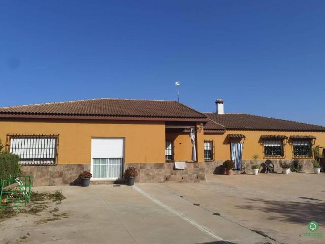 Chalet en venta en El Condado, Andalucía