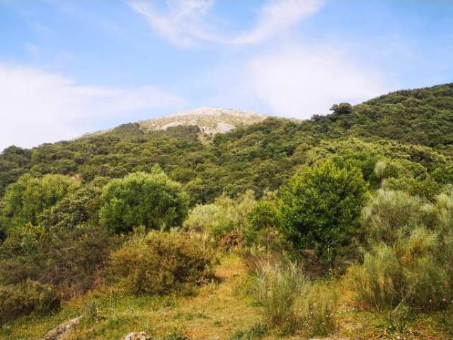 Chalet en venta en Serranía de Ronda, Andalucía