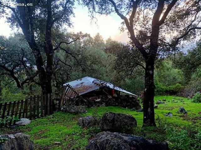 Casa en venta en Serranía de Ronda, Andalucía