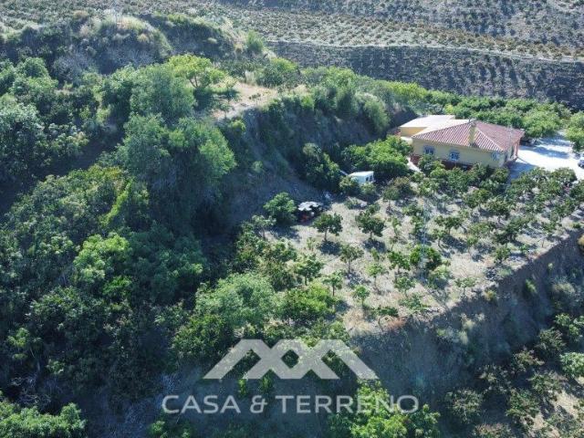 Villa en venta en Benamocarra