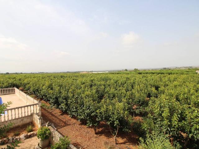 Chalet en venta en la Ribera Alta, Valencia