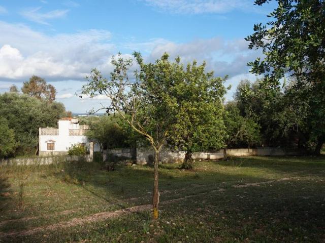 Villa en venta en Binissalem