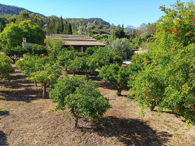 Chalet en venta en Binissalem, Baleares