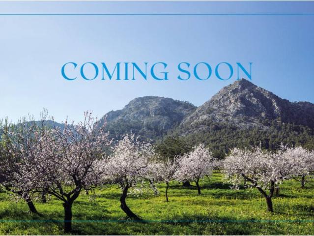 Chalet en venta en Raiguer, Baleares