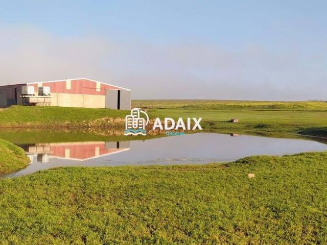Chalet en venta en Brozas, Extremadura