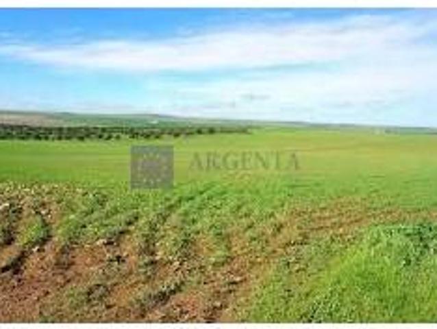 Chalet en venta en Brozas, Extremadura