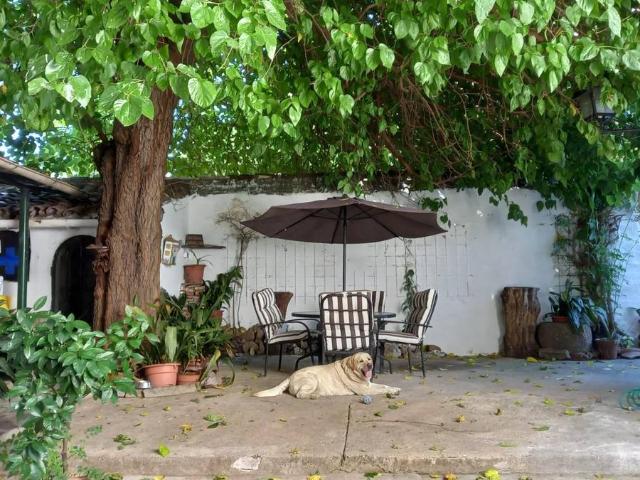 Chalet en venta en Brozas