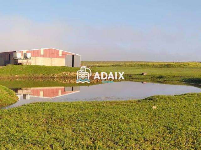 Chalet en venta en Brozas