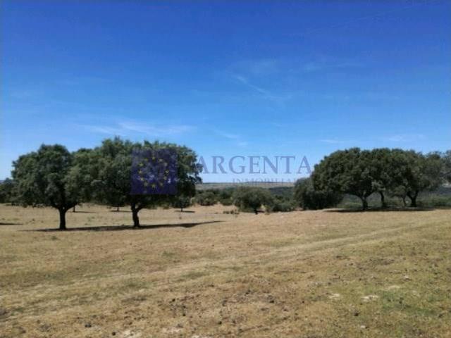 Chalet en venta en Brozas, Extremadura