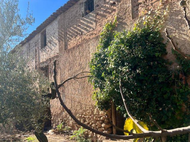 Chalet en venta en Cabra Del Santo Cristo, Andalucía