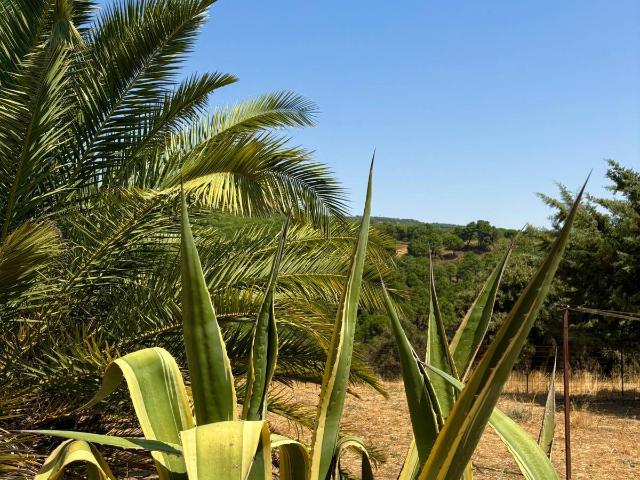 Chalet en venta en Calera de León, Calera De León