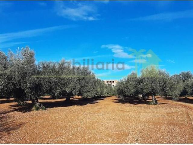 Chalet en venta en el Baix Maestrat, Valencia