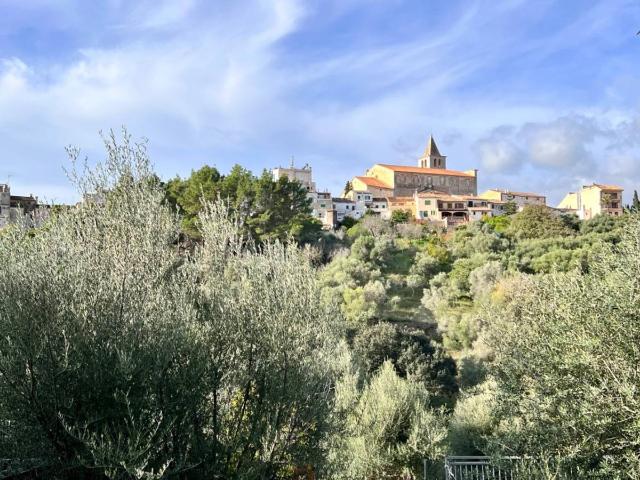 Chalet en venta en Raiguer, Baleares
