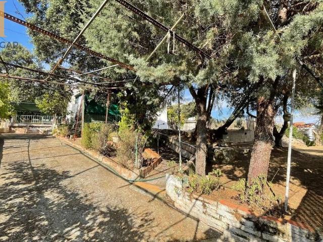 Chalet en venta en Cardiel De Los Montes, Castilla-La Mancha