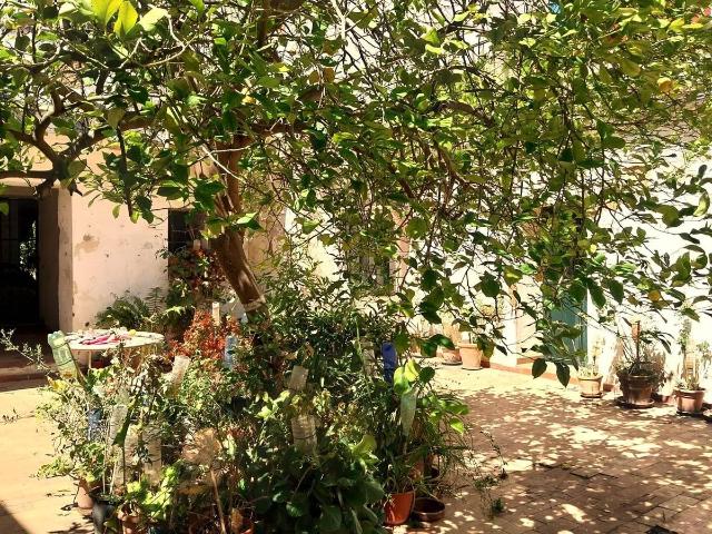 Chalet en venta en Carmona, Andalucía