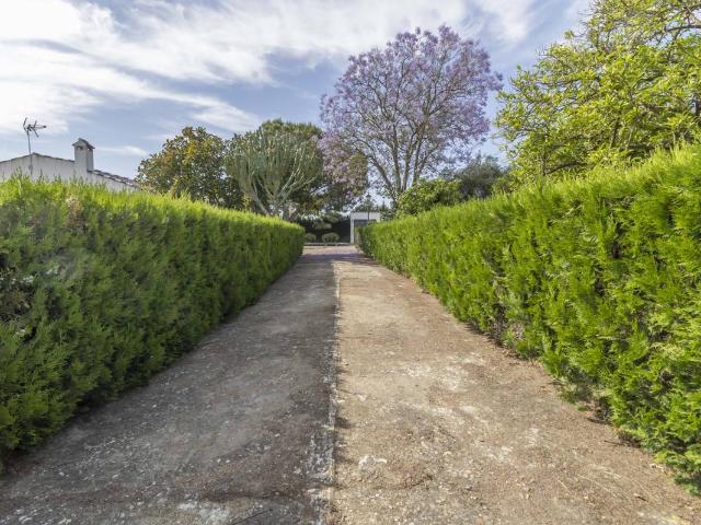 Chalet en venta en Carmona, Andalucía