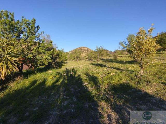 Chalet en venta en Virgen de las Huertas, Alto Guadalentín