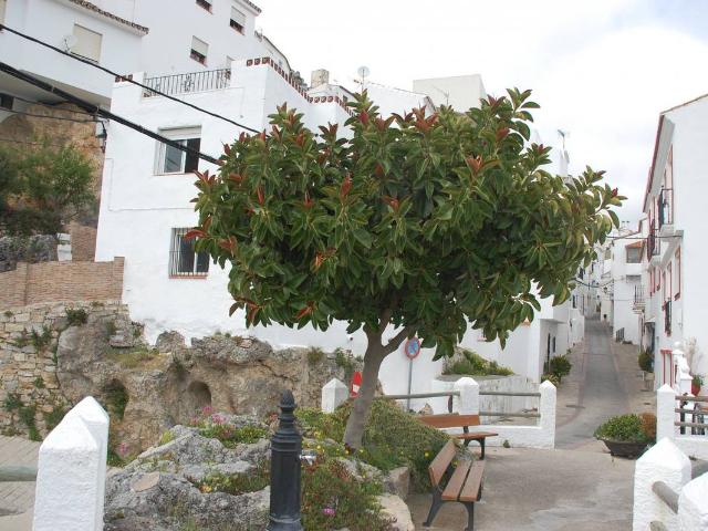 Chalet en venta en Costa del Sol Occidental, Andalucía