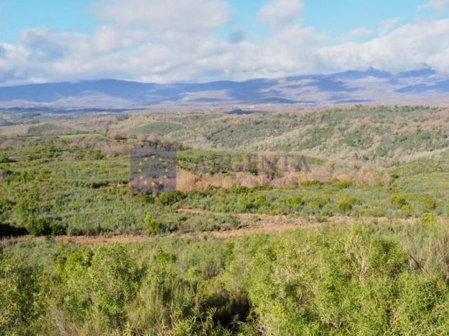 Chalet en venta en Casatejada, Extremadura