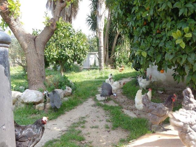 Chalet en venta en Baix Penedès, Catalunya