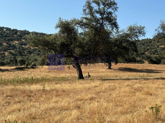 Villa en venta en Cañamero