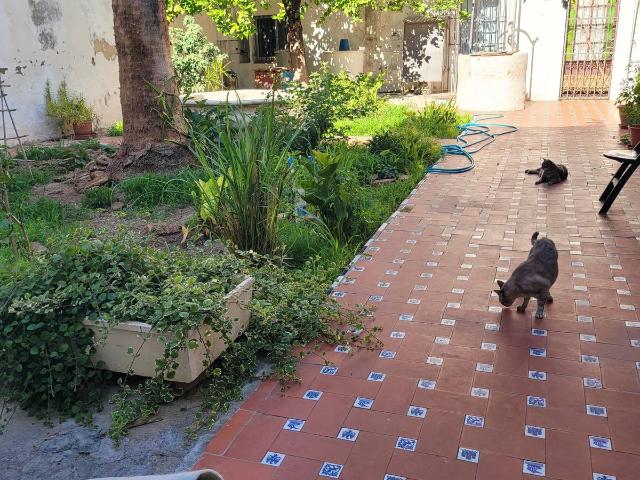 Chalet en venta en Utrera, Sevilla