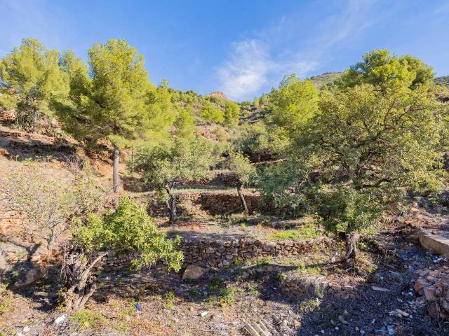 Chalet en venta en la Plana Baixa, Valencia