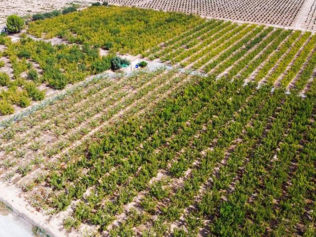 Chalet en venta en Arenas De Iguña, Cantabria