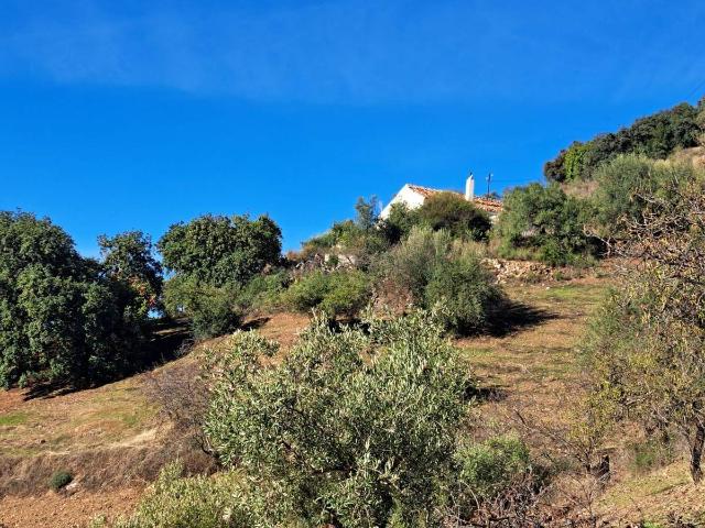 Chalet en venta en La Axarquía, Andalucía