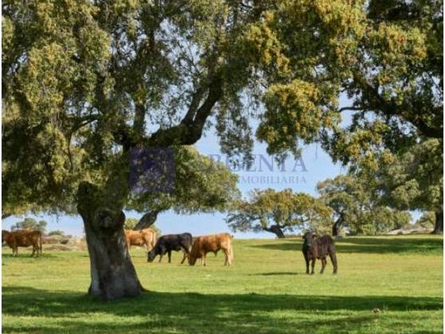 Chalet en venta en Coria, Extremadura