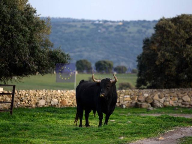 Chalet en venta en Coria, Extremadura
