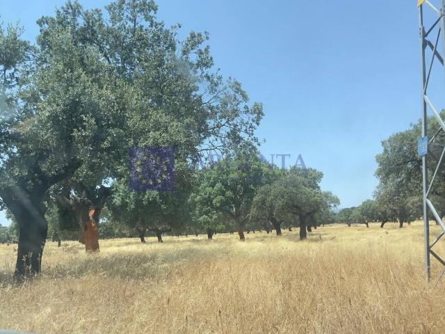 Chalet en venta en Coria, Extremadura
