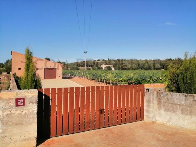 Chalet en venta en Pla de Mallorca, Baleares