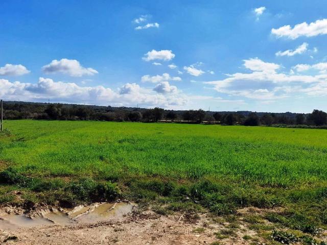 Villa en venta en Costitx