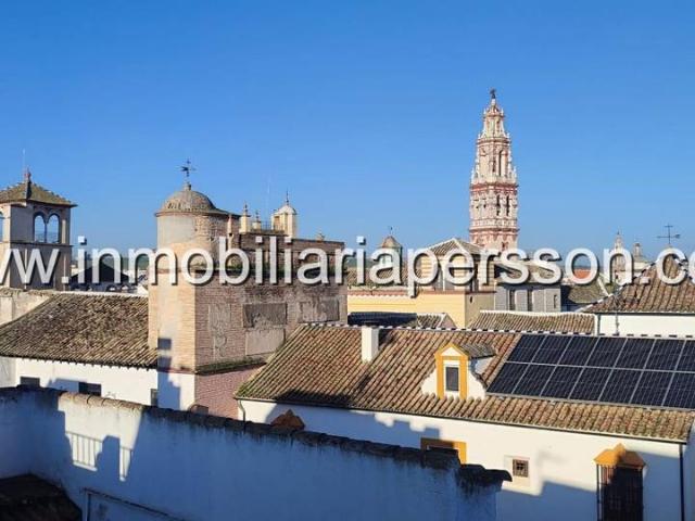 Chalet en venta en Écija, Andalucía