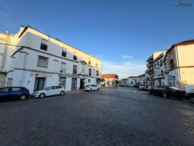 Chalet en venta en Écija, Andalucía