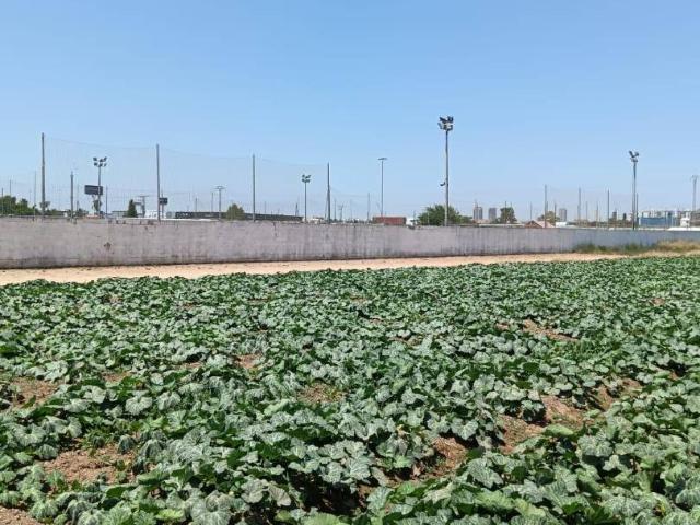 Chalet en venta en Ciutat Vella, Valencia