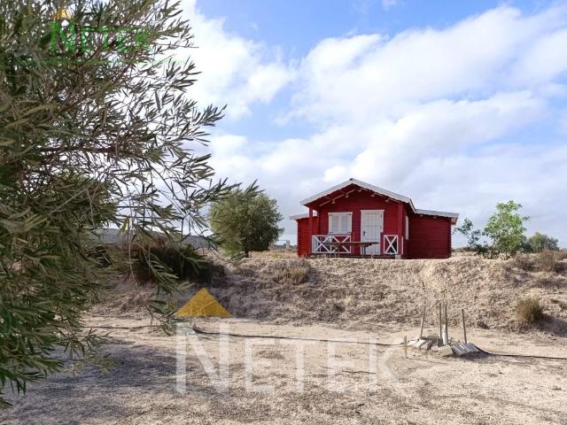 Villa en venta en Molina De Segura, Torrealta