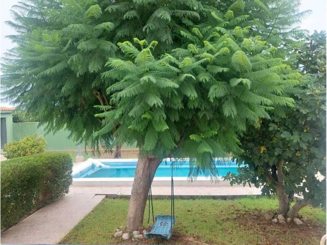 Chalet en venta en Plaça Major, la Plana Alta