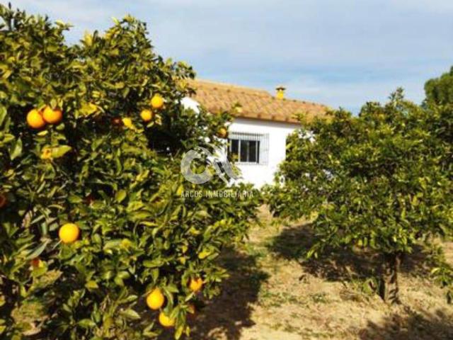 Chalet en venta en Distrito Centro, Córdoba