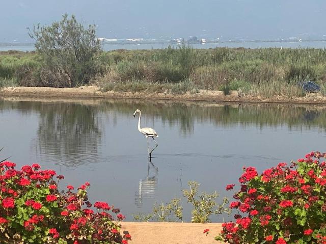 Chalet en venta en Amposta, Tarragona