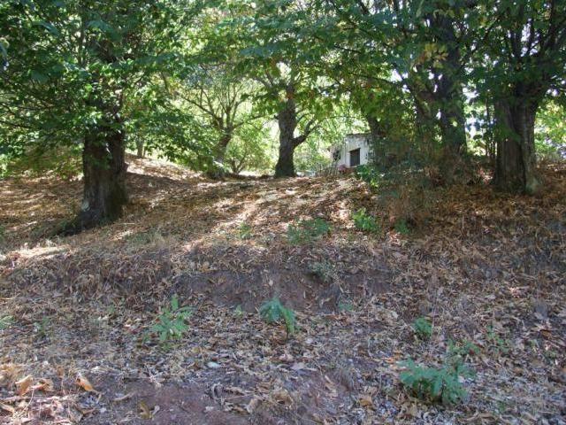 Chalet en venta en Serranía de Ronda, Andalucía