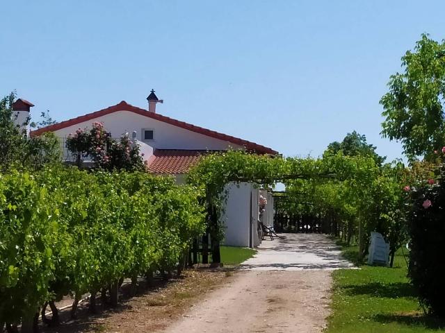 Chalet en venta en Fuente El Saz De Jarama, Madrid